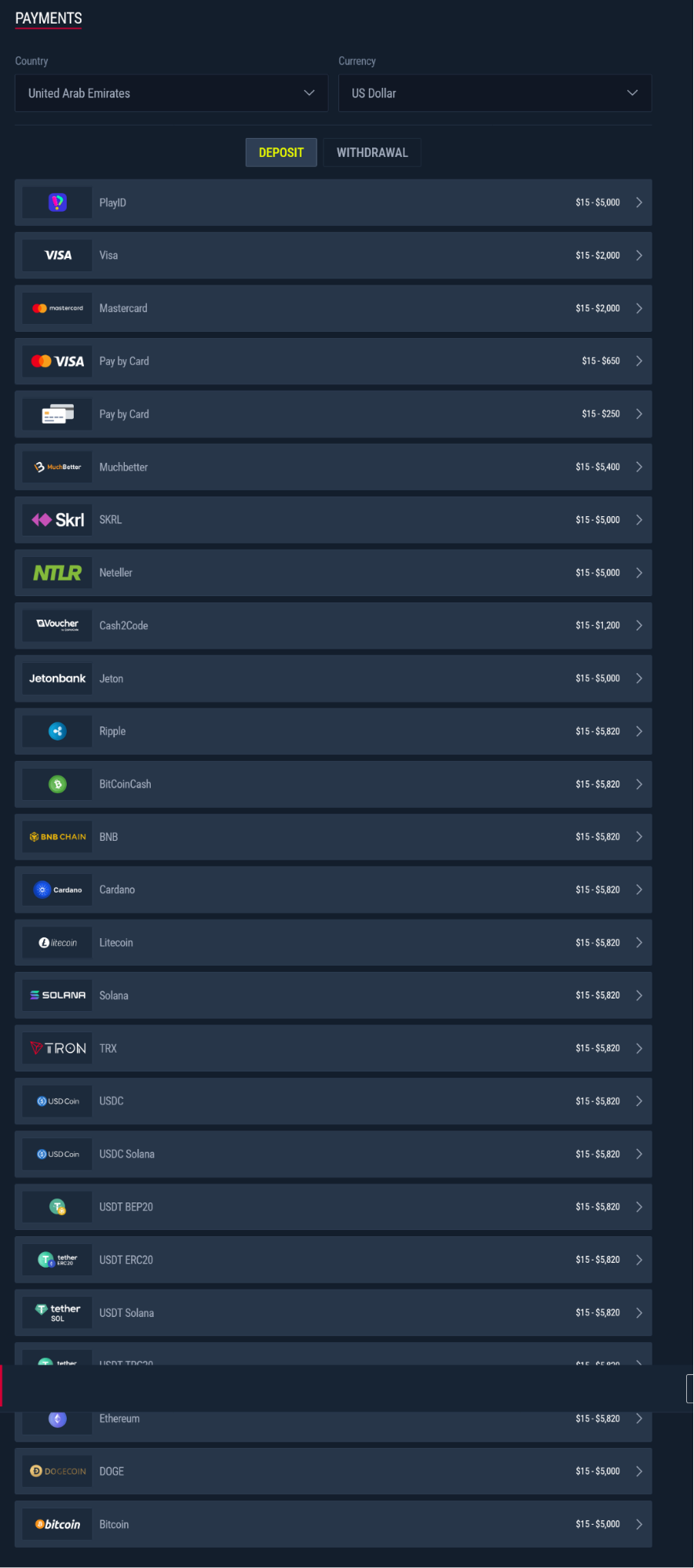 Payment options in UAE casino